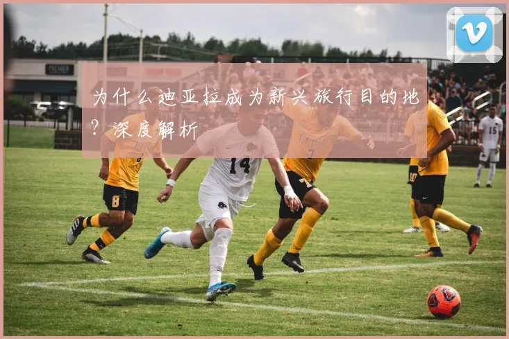 为什么迪亚拉成为新兴旅行目的地？深度解析