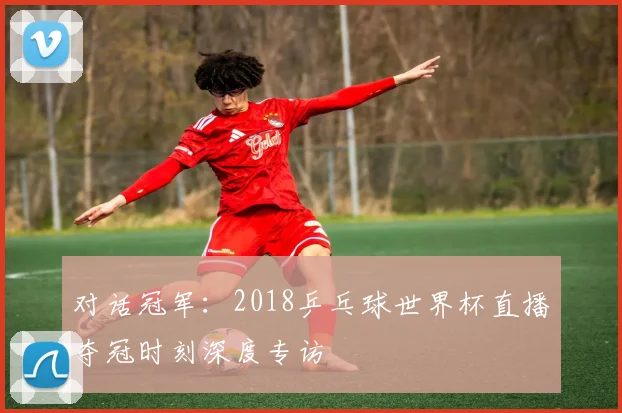 对话冠军：2018乒乓球世界杯直播夺冠时刻深度专访