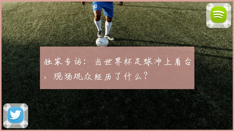独家专访:当世界杯足球冲上看台,现场观众经历了什么?