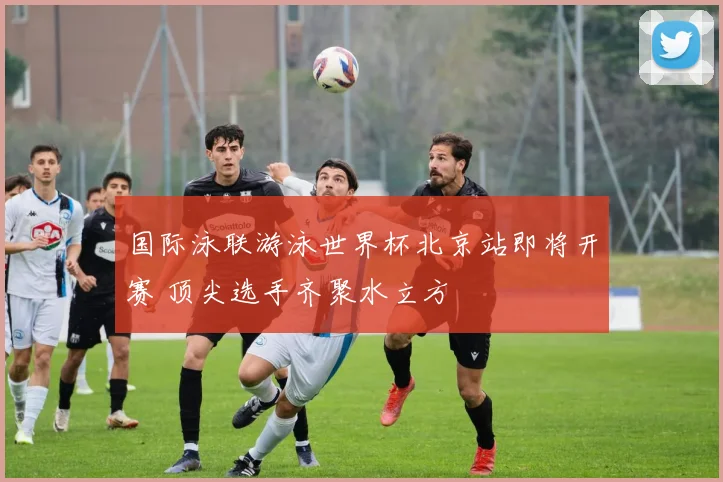 国际泳联游泳世界杯北京站即将开赛 顶尖选手齐聚水立方