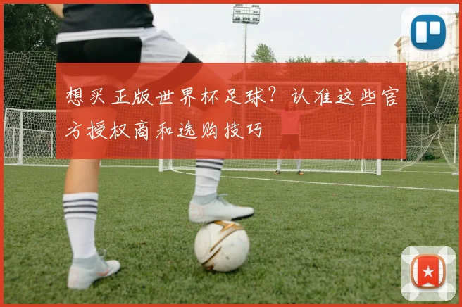 想买正版世界杯足球?认准这些官方授权商和选购技巧