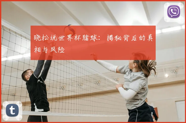 晓松说世界杯赌球：揭秘背后的真相与风险