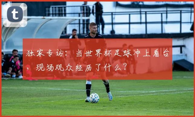 独家专访:当世界杯足球冲上看台,现场观众经历了什么?