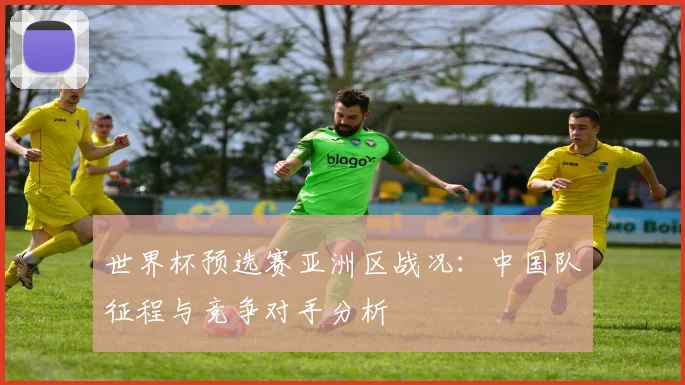 世界杯预选赛亚洲区战况:中国队征程与竞争对手分析