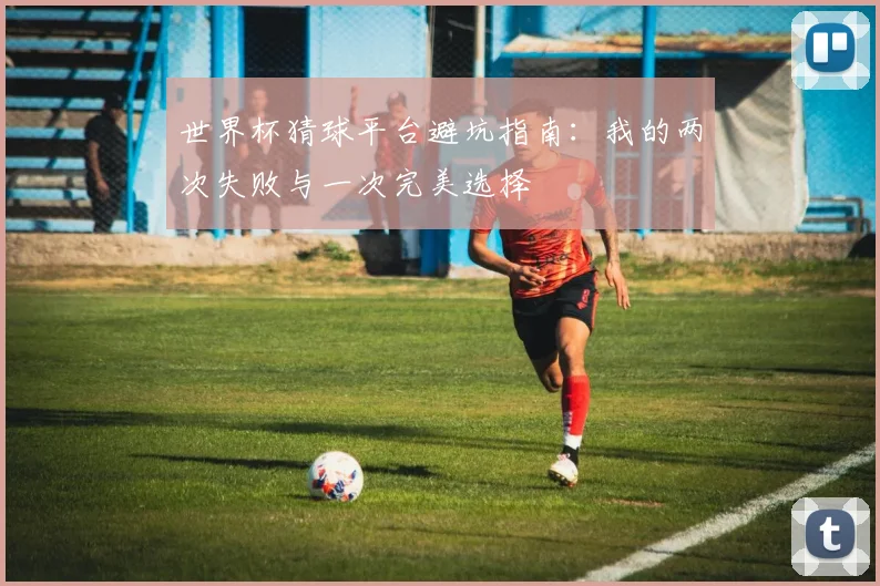 世界杯猜球平台避坑指南：我的两次失败与一次完美选择