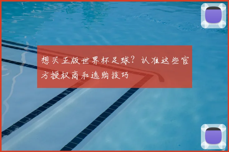 想买正版世界杯足球？认准这些官方授权商和选购技巧