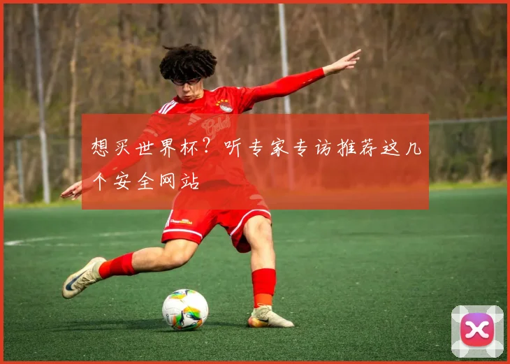 想买世界杯？听专家专访推荐这几个安全网站
