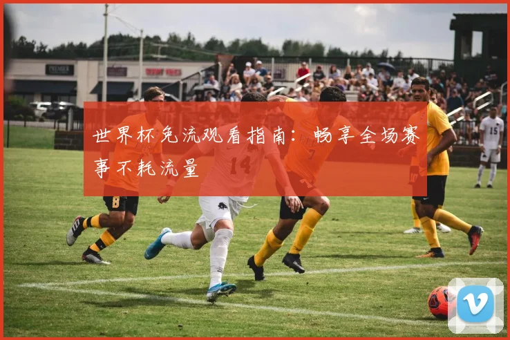 世界杯免流观看指南:畅享全场赛事不耗流量