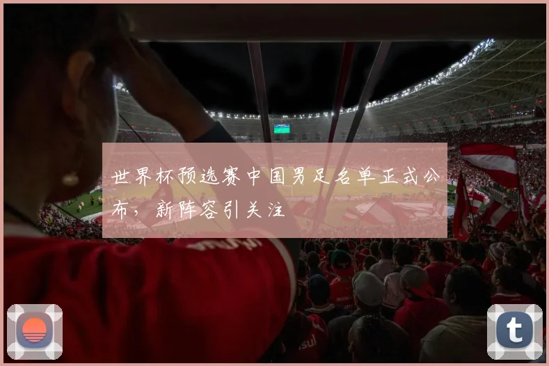 世界杯预选赛中国男足名单正式公布,新阵容引关注